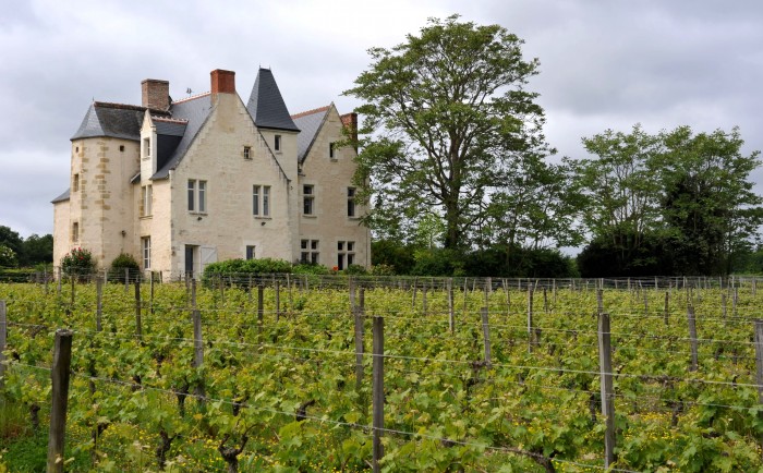 château de la roche en loire