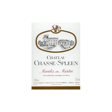 Château Chasse Spleen 2017