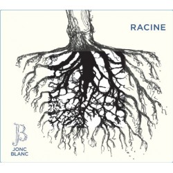 Jonc Blanc 2019 Racine